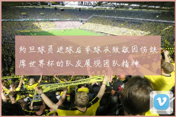约旦球员进球后举球衣致敬因伤缺席世界杯的队友展现团队精神