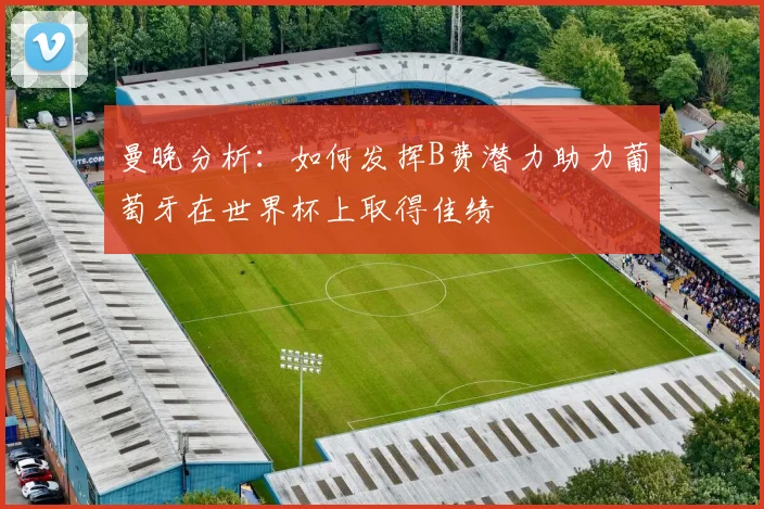 曼晚分析：如何发挥B费潜力助力葡萄牙在世界杯上取得佳绩