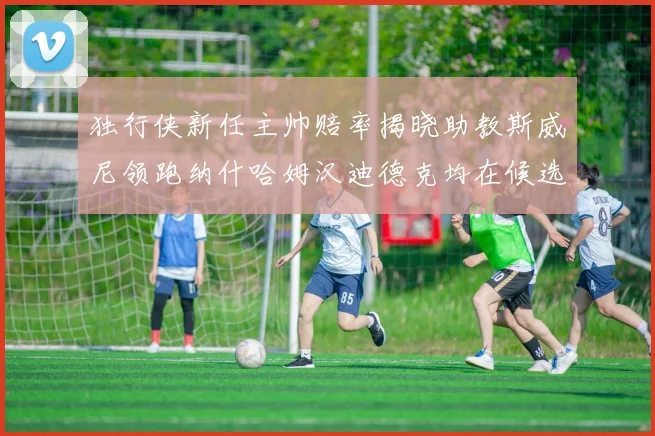 独行侠新任主帅赔率揭晓助教斯威尼领跑纳什哈姆汉迪德克均在候选之中
