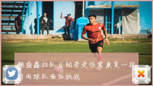 鲍盛鑫归队后韧带受伤需康复一段时间球队面临挑战